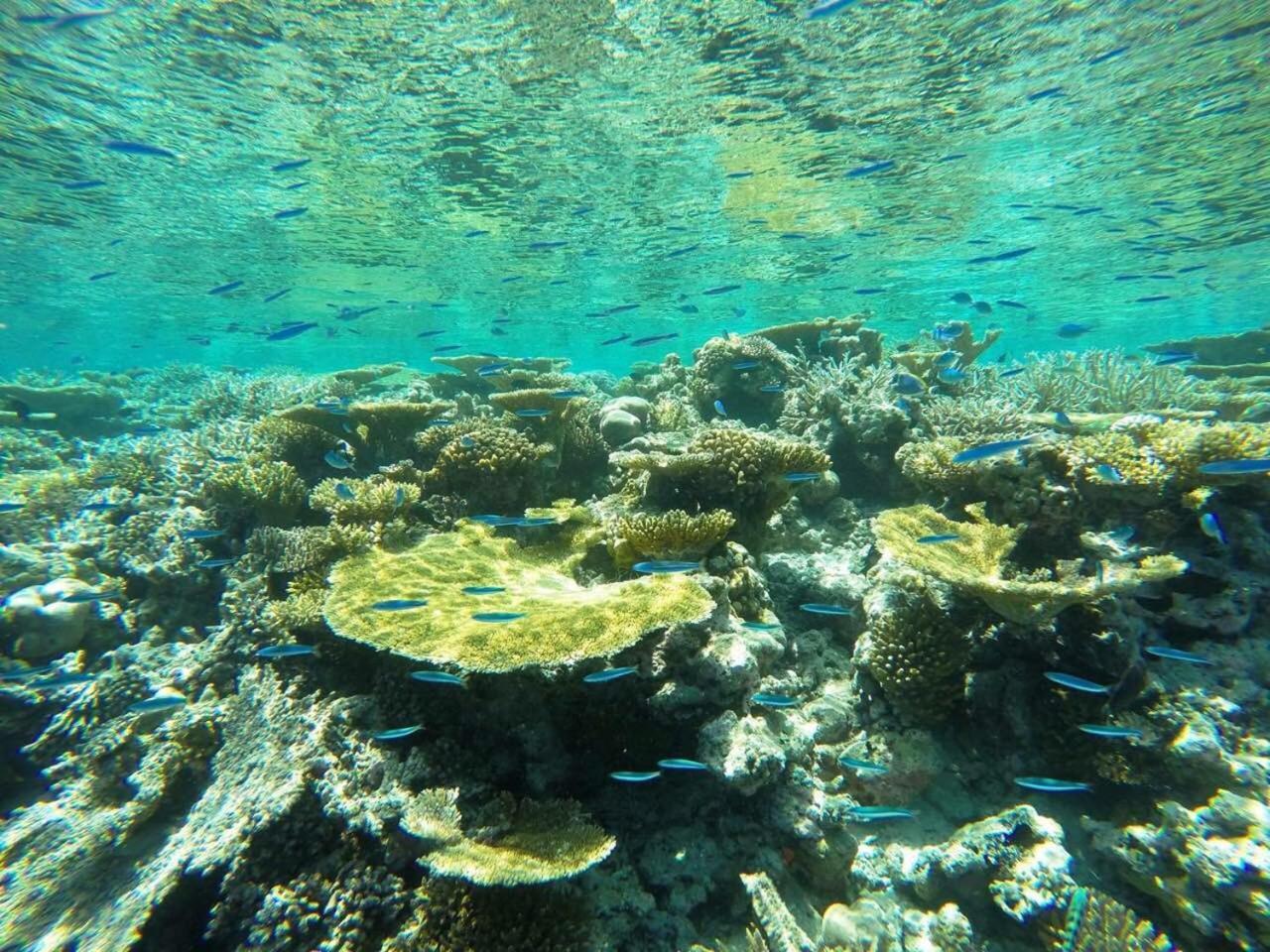 Koimala Beach Ukulhas 外观 照片