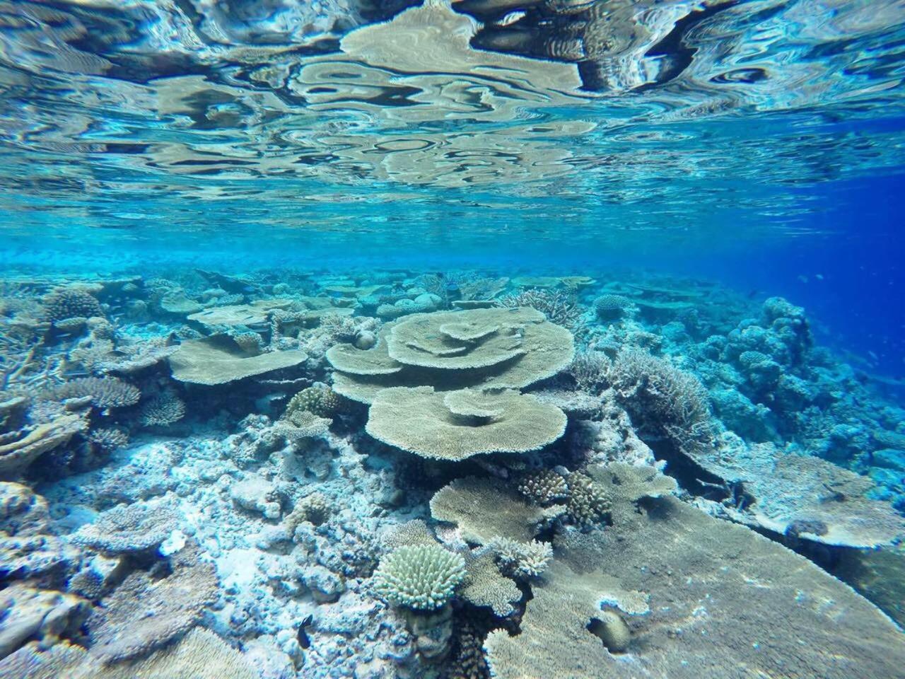 Koimala Beach Ukulhas 外观 照片